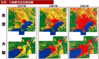 安徽2019出生人口数量